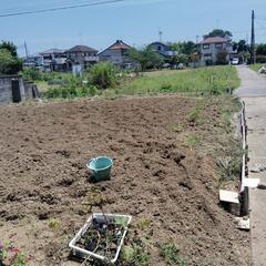 家庭菜園 耕作者募集