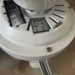 照明器具　ファンの画像
