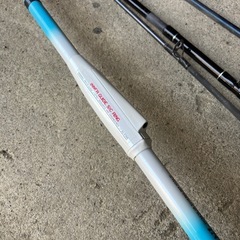 海釣り用ロットとリール80-300の画像