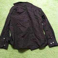 Lなのに小さめなシャツの画像