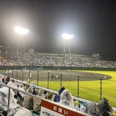 草野球⚾️