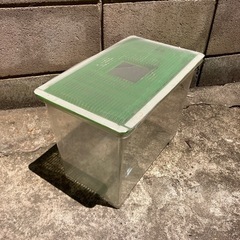 飼育箱の画像