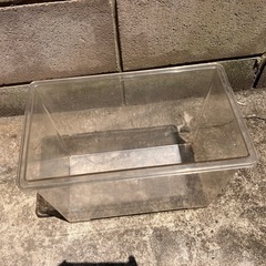 飼育箱の画像