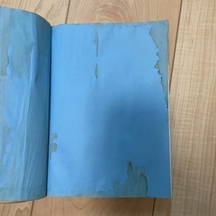 ビジ法3級　2024 公式テキストの画像