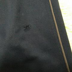 へたっているLくらいのジャージの画像