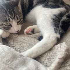 癒す天才 あんこです❗️
