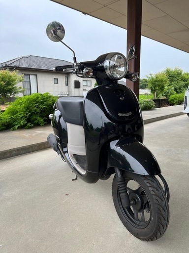 ホンダ　ジョルノ　黒