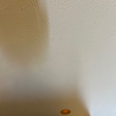 押入れ用引き戸の画像