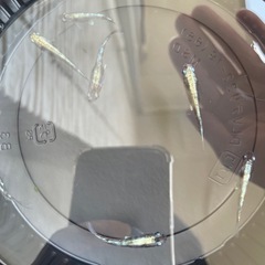 白斑体外光　メダカの画像