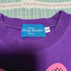 435]ディジーＴシャツの画像