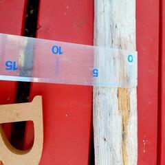 ビーチ　流木　ヒトデ　西海岸風の画像