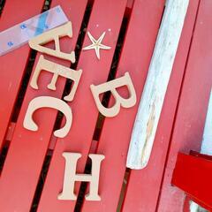 ビーチ　流木　ヒトデ　西海岸風の画像