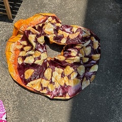 浮き輪セットの画像