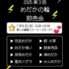 めだかイベント  めだか販売 メダカ販売 めだかの輪