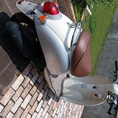 クレアスクーピー50 取手市発の画像