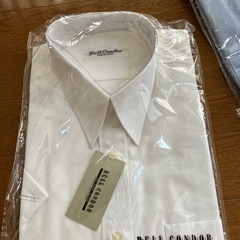 メンズワイシャツの画像
