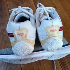 値下げ！中古スニーカー②PUMA26.0cmの画像