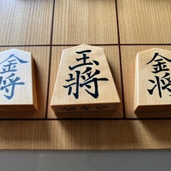気軽に(ただし割と真面目に)将棋指しませんか？