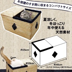 新古品★にゃんこのデニムちぐら ボックスの画像