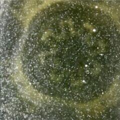自宅で培養　ゾウリムシ　メダカ、針子の餌にの画像