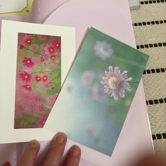 花屋さんからのメッセージ  月の花１２冊の画像