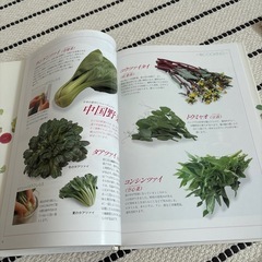 旬のサブスク料理本   １２冊の画像
