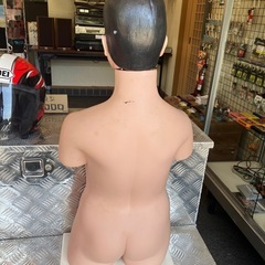 人体模型✳︎上半身✳︎ディスプレイにどうぞの画像
