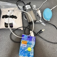 gexマリーナスリム水槽の画像