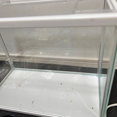 gexマリーナスリム水槽の画像