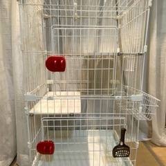 アイリス　キャットゲージ