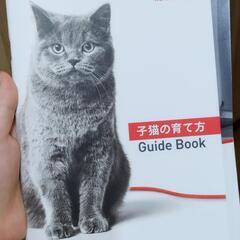 ロイヤルカナンキトンの画像