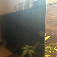2023製　50インチテレビ　SHARP　4t-c50dl1の画像
