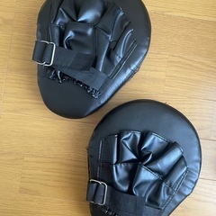 マーシャルワールド ミットの画像