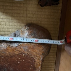 木　輪切り　台　　昭和の画像
