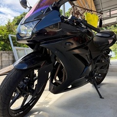 カワサキ　ニンジャ250R ninjaの画像