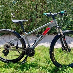 【0円】中古自転車MARIN の画像