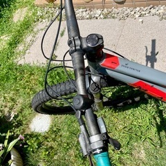 【0円】中古自転車MARIN の画像