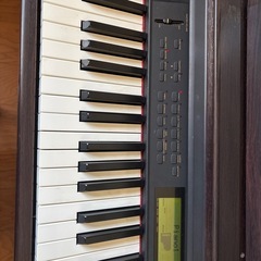 YAMAHA   Cravinovaの画像