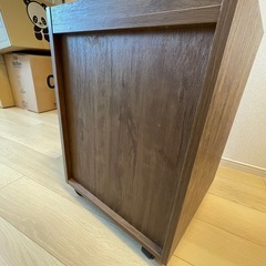 サイドチェスト
の画像