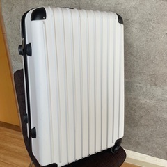 本日限定 スーツケース