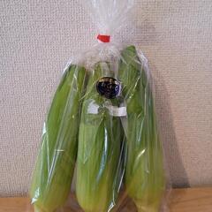 わくわくコーン🌽