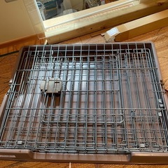 子猫用ケージの画像