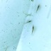 ランキングキーワードに紐づく投稿画像-メダカ
