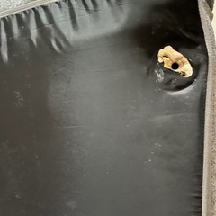 ニトリ　カジュアルソファの画像