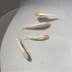 ランキングキーワードに紐づく投稿画像-メダカ