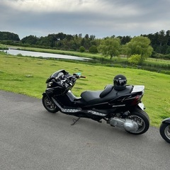 スカイウェイブ250 フルカスタムの画像