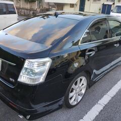 SAI の画像