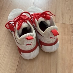 バッシュ　24.5cmの画像