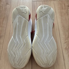 バッシュ　24.5cmの画像