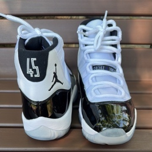 Air Jordan 11 Concord (2018)

